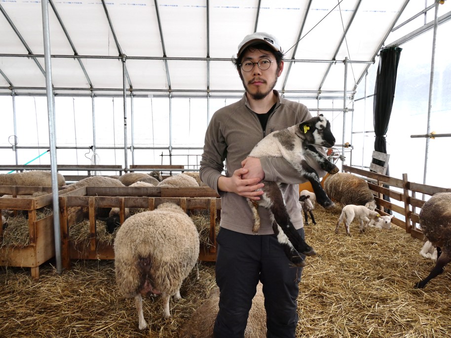 子羊を抱える加藤さん