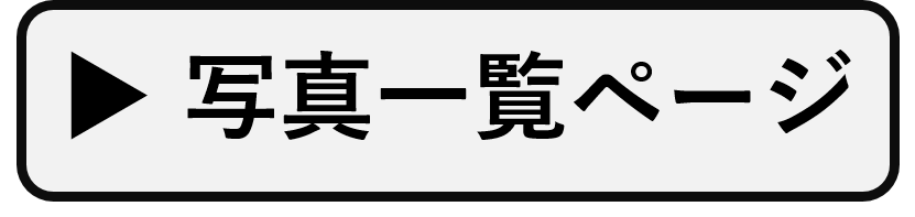 写真一覧ページへ