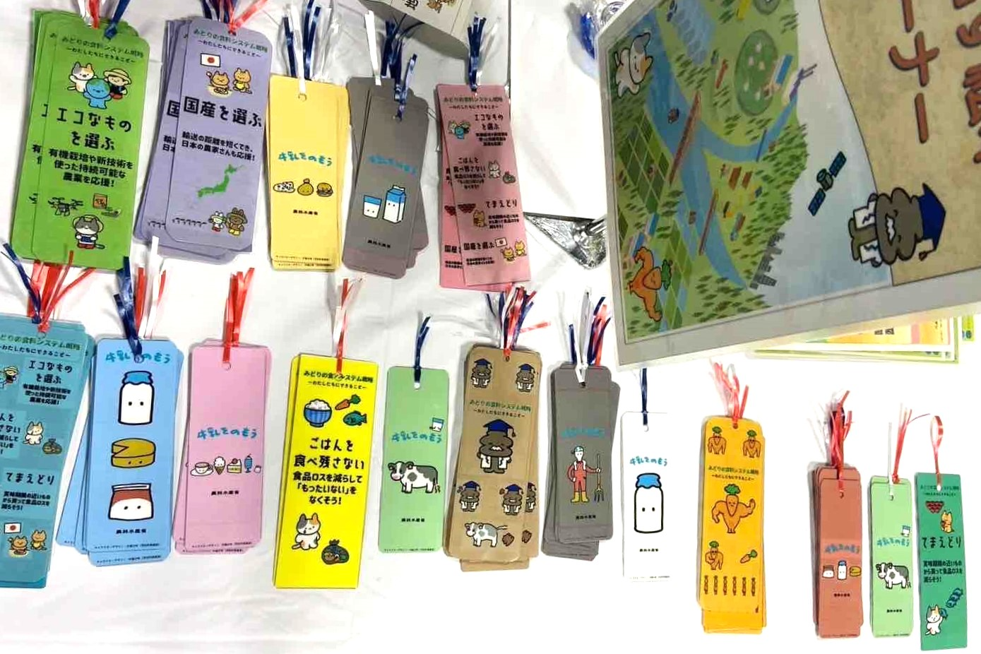 配布したしおり