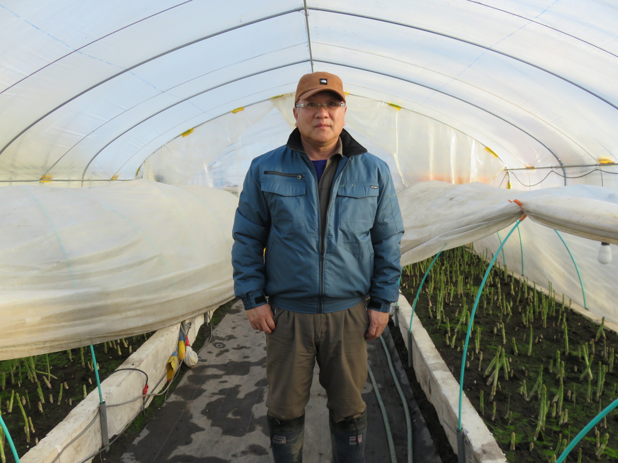 美幌町特産アスパラガス「冬姫」の生産者を取材しました