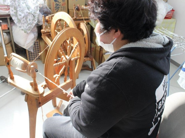 しべちゃコスモス