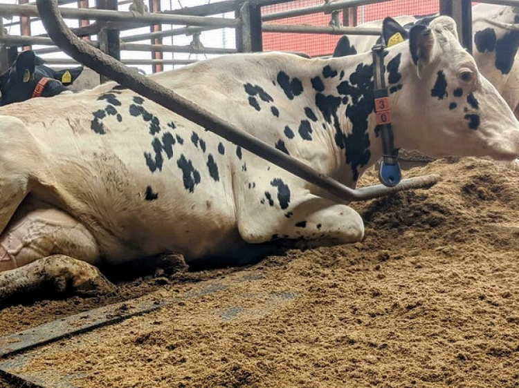 ファームノートDP