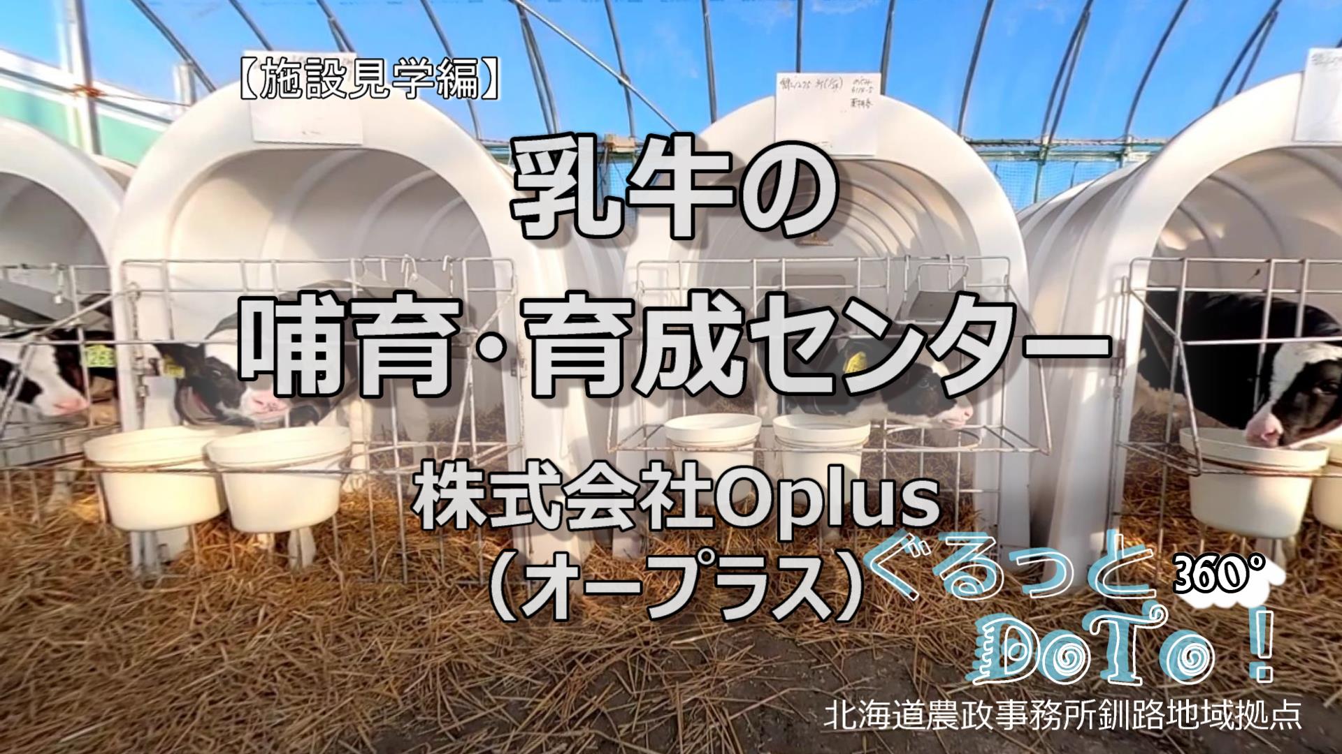 【施設見学編】乳牛の哺育・育成センター（株式会社　Oplus(オープラス)） 