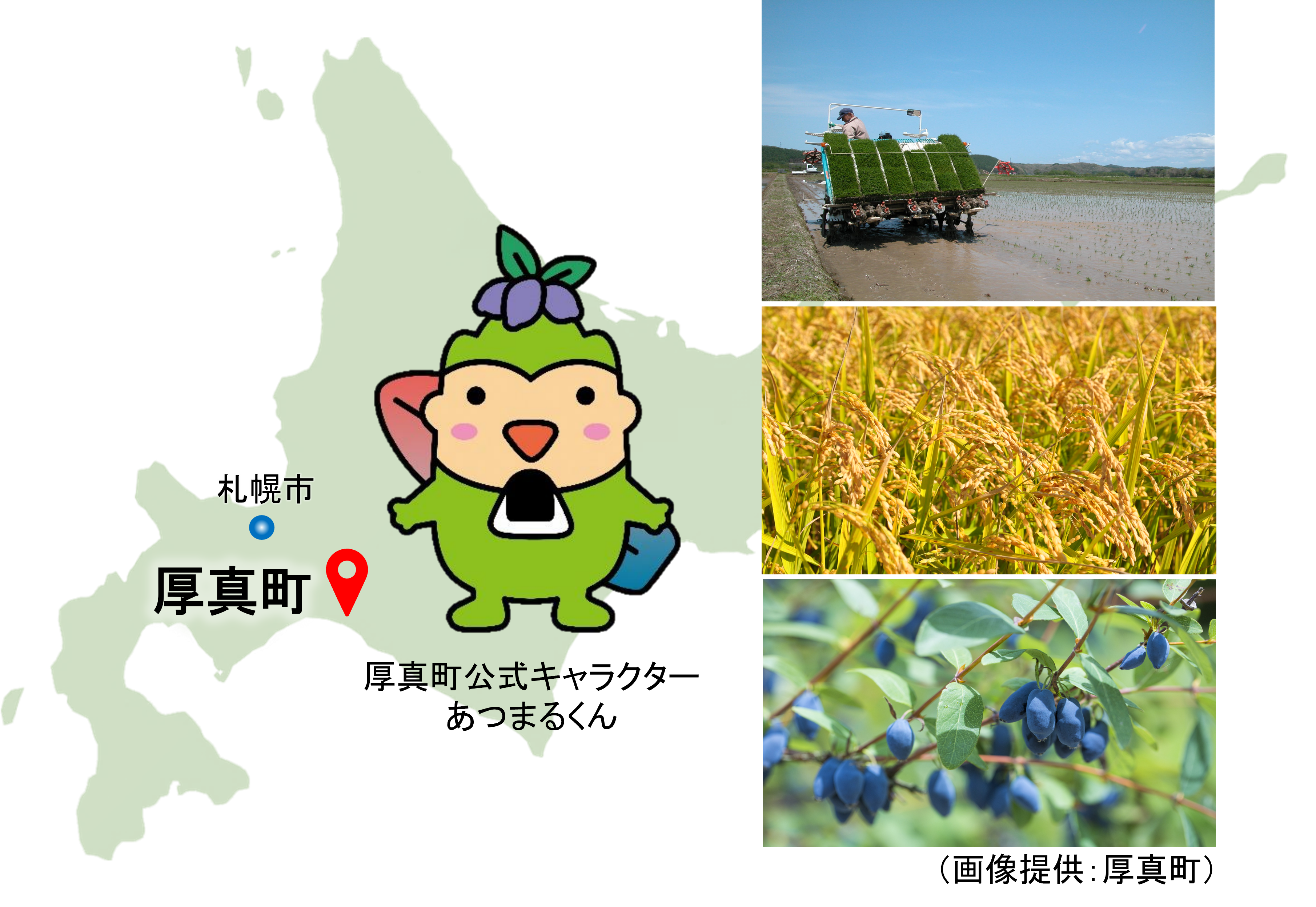 厚真町の地図、厚真町公式キャラクターあつまるくん、田植えの風景、稲穂、ハスカップの写真