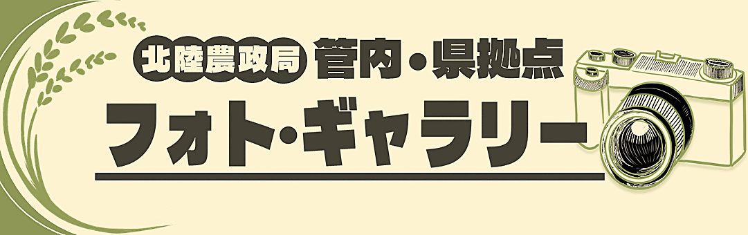 フォト・ギャラリー