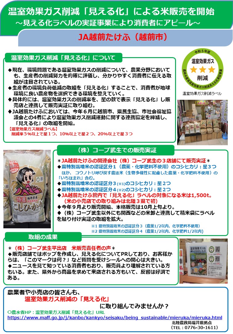 見える化チラシ