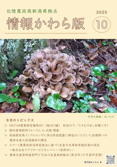 情報かわら版（令和7年10月号）