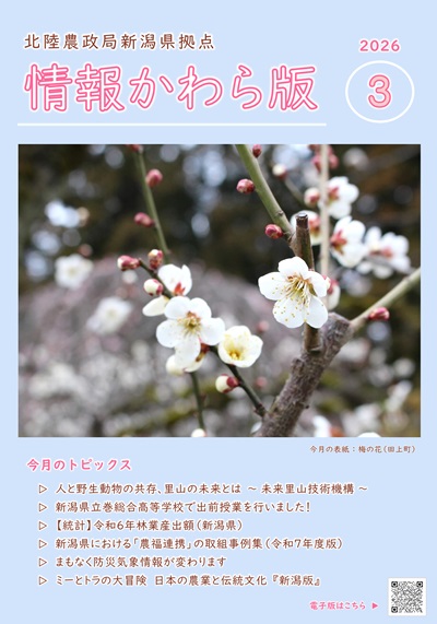情報かわら版（令和8年3月号）
