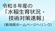 水稲生育状況・技術対策速報のバナー