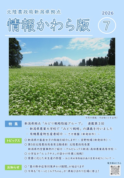 情報かわら版（令和8年7月号）