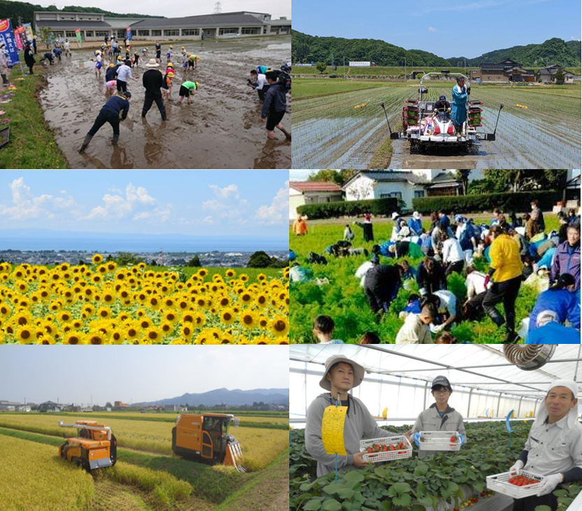 集落営農の様子