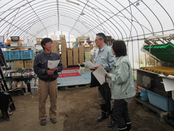 メロン生産者から説明を受ける藤岡地方参事官(中央)