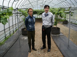 市川ブドウ園代表(左)と佐土原地方参事官