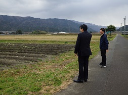 水田における白ねぎ栽培のほ場を視察
