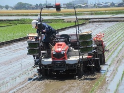 利用者によるスマート農機を活用した田植え風景