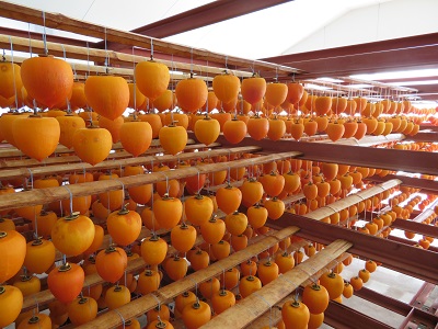 竿にぶらさげて乾燥させている様子