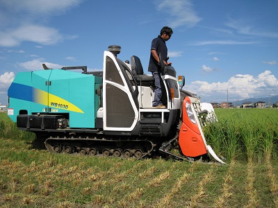 ホールクロップ収穫機による刈り取り