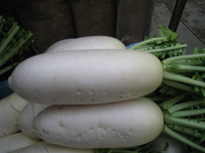 ずんぐりとした形のだいこん