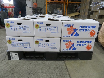 出荷されるかぼちゃ