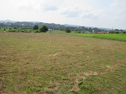 国庫帰属した農地等の一部