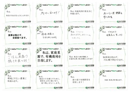 わたしのぷらすみどり宣言No.2