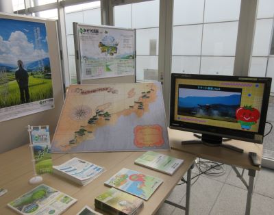 展示の様子