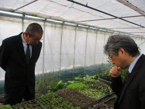 ハウスの見学をする本田局次長（右）