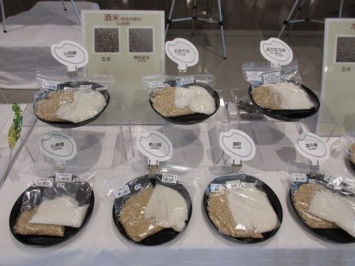 酒米展示の様子