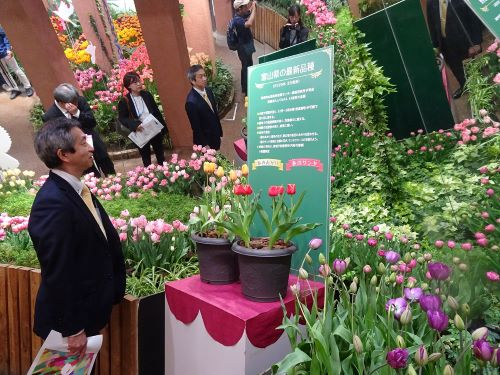 富山県の最新品種を鑑賞する遠藤局長