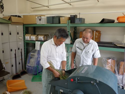 脱穀作業を行う郡局次長