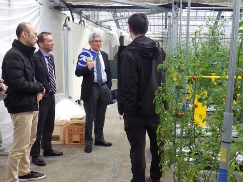 トマト栽培について説明を受ける様子