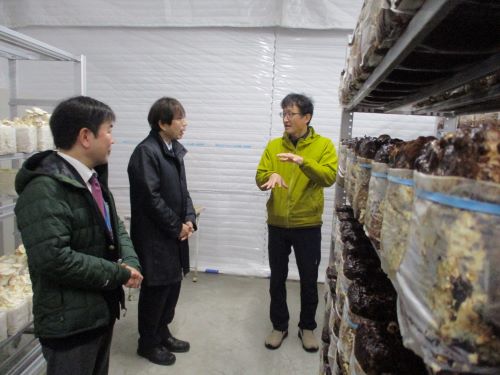 NPO法人こころの椎茸栽培施設で説明を受ける様子