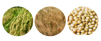 米、麦、大豆の画像