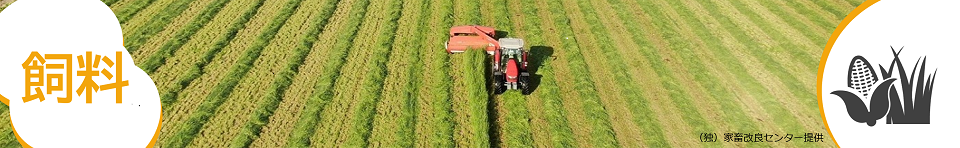 飼料コンテンツ集トップ画像