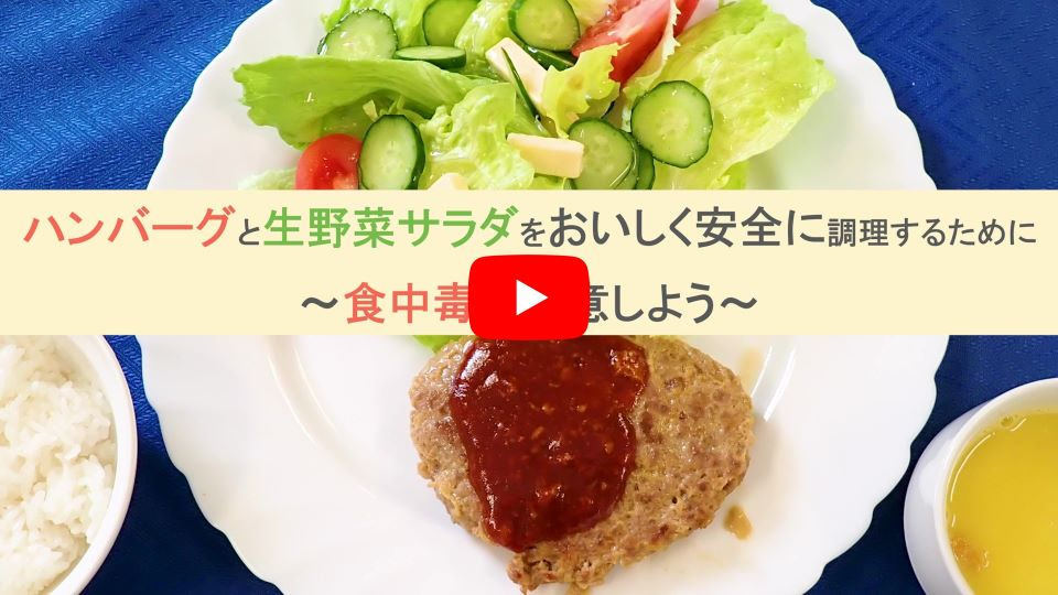 ハンバーグと生野菜サラダ