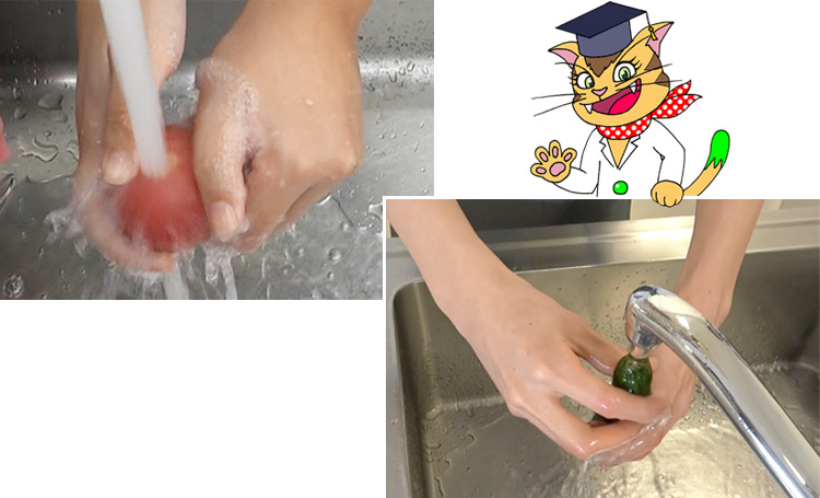 生で食べる野菜を飲用水で洗う