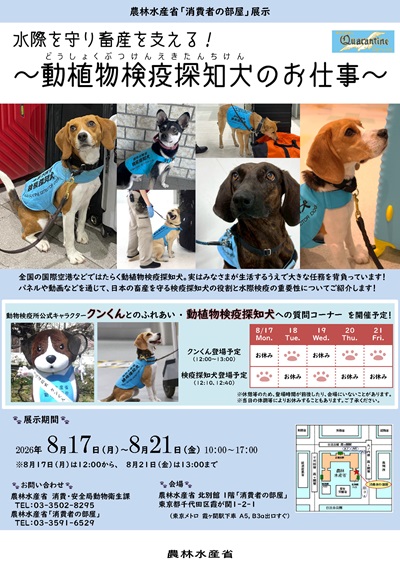 動植物検疫探知犬の日々の様子や水際検疫の重要性について、パネル展示や簡単な体験等で分かりやすく紹介します。 また、海外旅行など渡航の機会がある方にも役立つ情報をお届けします！