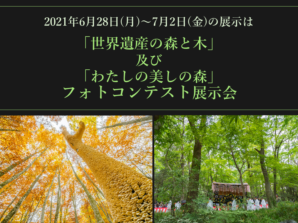 フォトコンサムネイル