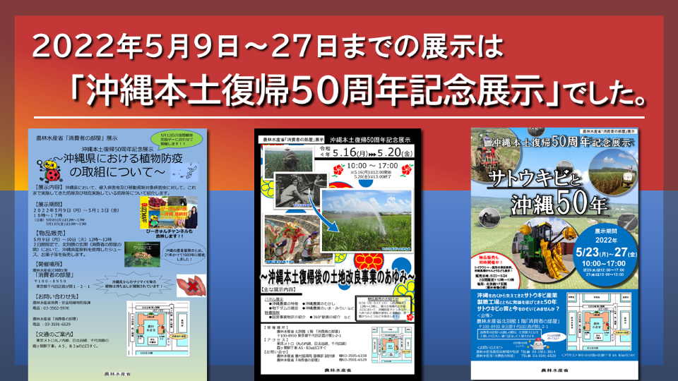 沖縄サムネイル