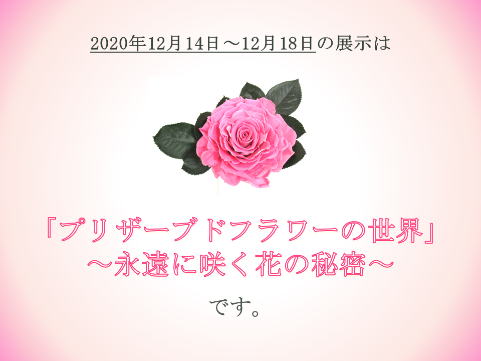 プリザブサムネイル