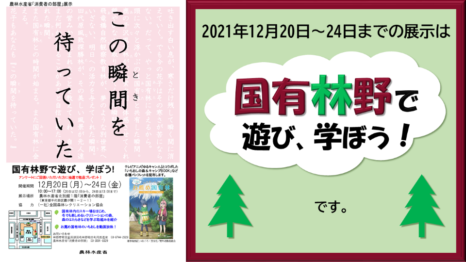 国有林野サムネイル