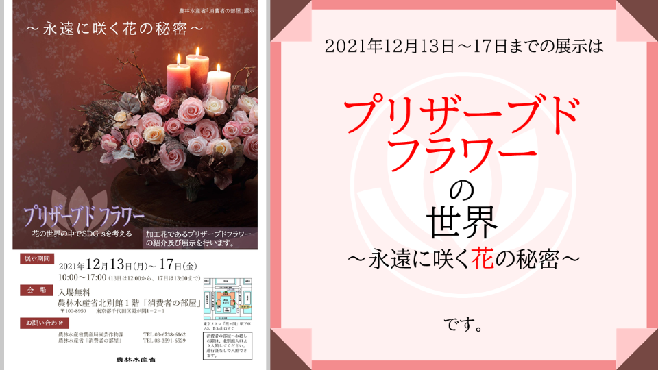 ブリザブサムネイル