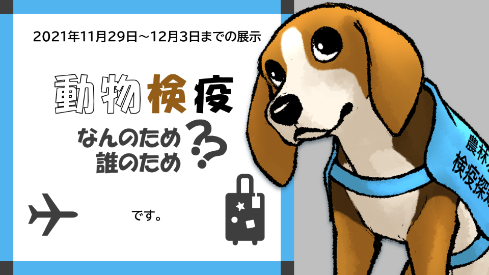 動物検疫サムネイル