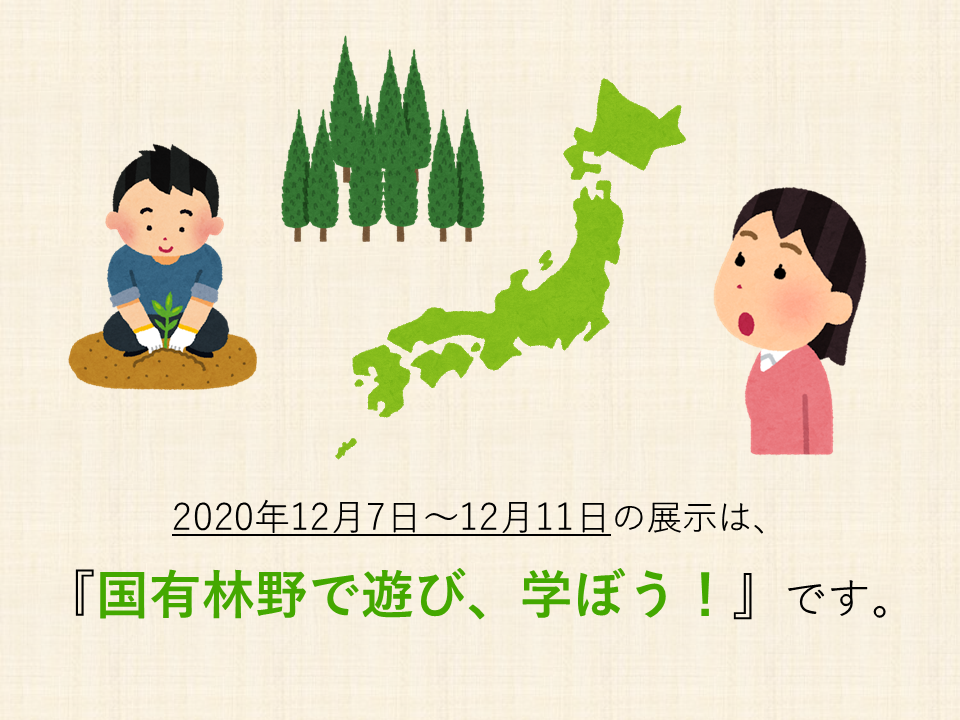 国有林野サムネイル