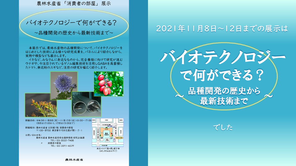 バイオテクサムネイル