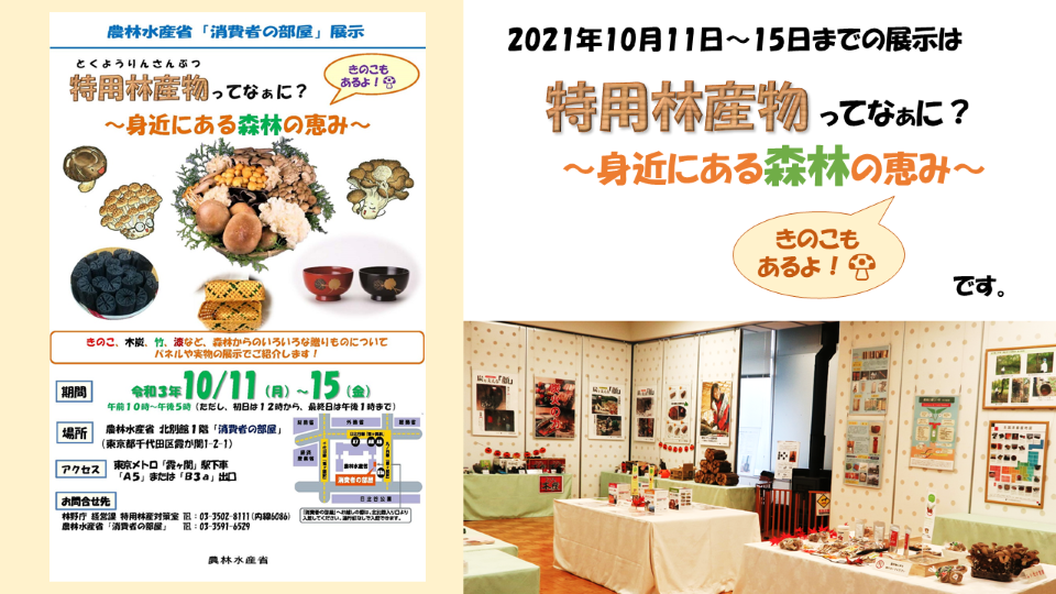 特林サムネイル