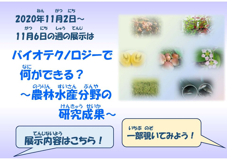 バイオサムネイル