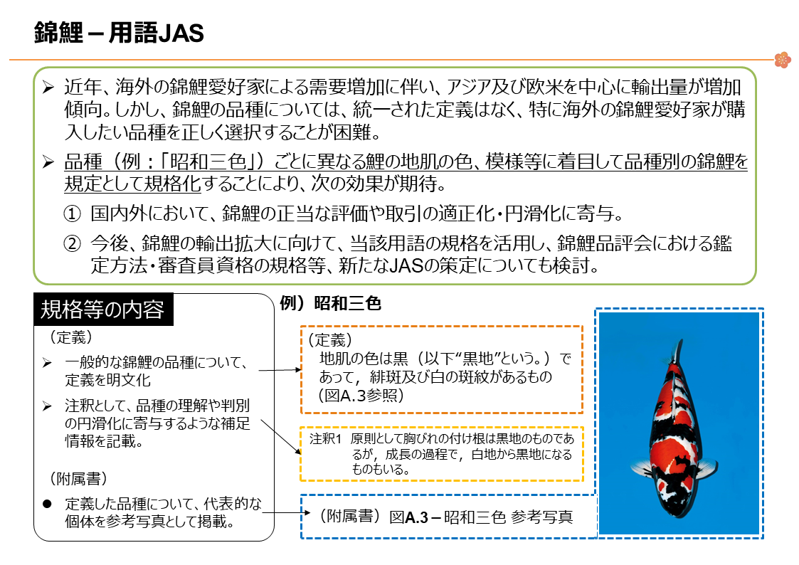 錦鯉JASの説明