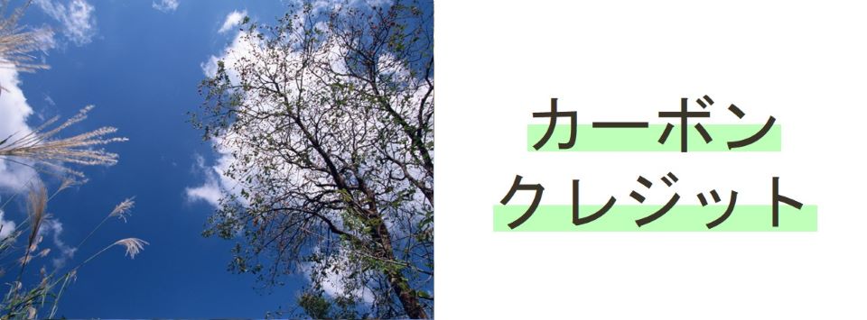 2210carbon_credit.jpg