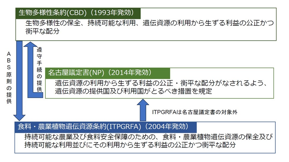 生物多様性条約と食料及び農業のための植物遺伝資源条約との関係